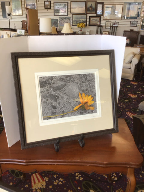 PHOTO / PICTURE JEN GRAHAM – Consign-it Furniture, LLC